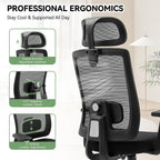 Meilocar Ergonomic Office Chair, Office Desk Chair with High Back Mesh and Adjustable Lumbar Support, Rolling Work Chairs with Wheels and Adjustable Headrests, Wide Cushion