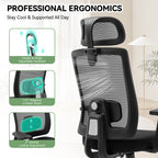 Meilocar Office Chair with Mesh High Back, Ergonomic Office Desk Chair with Adjustable Lumbar Support, Rolling Work Chairs with Wheels and 3D Headrest