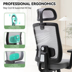 Meilocar Ergonomic Office Chair, Office Desk Chair with High Back Mesh and Adjustable Lumbar Support, Rolling Work Chairs with Wheels and Adjustable Headrests, Wide Cushion